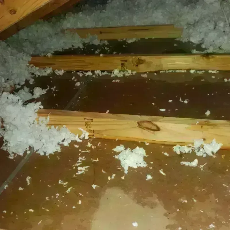 Attic Water Damage in Caddo, OK