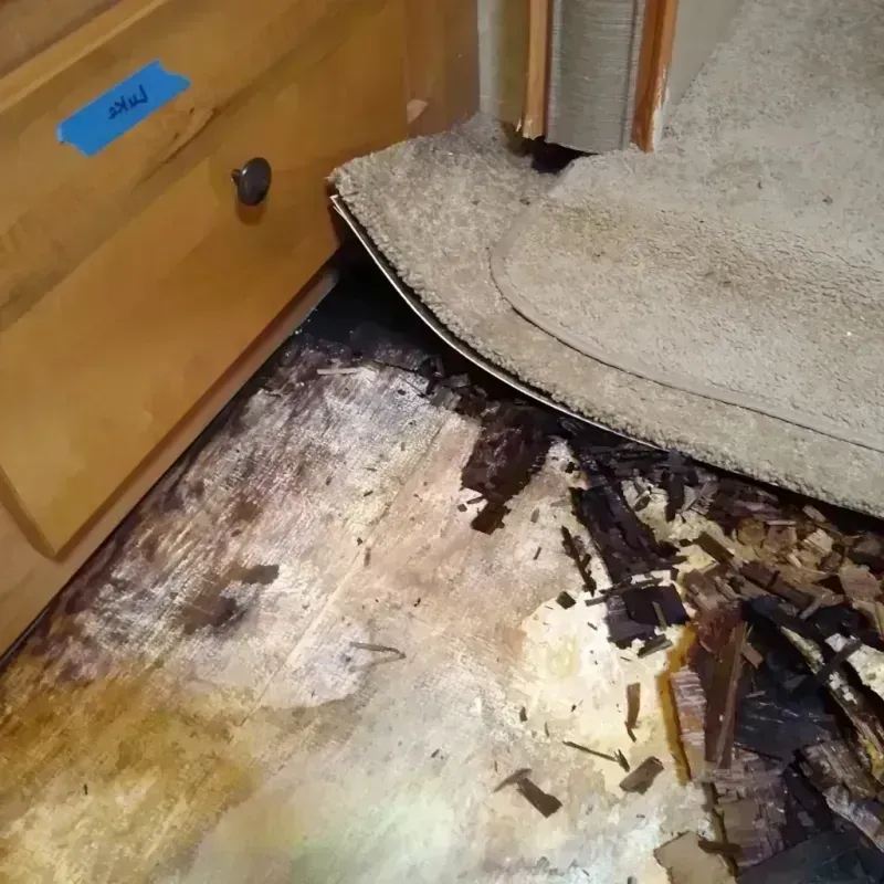 Wood Floor Water Damage in Caddo, OK